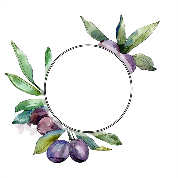 Olives on branches with green leaves. Botanical garden floral foliage. Watercolor illustration on white background. Round frame. — Stock Photo