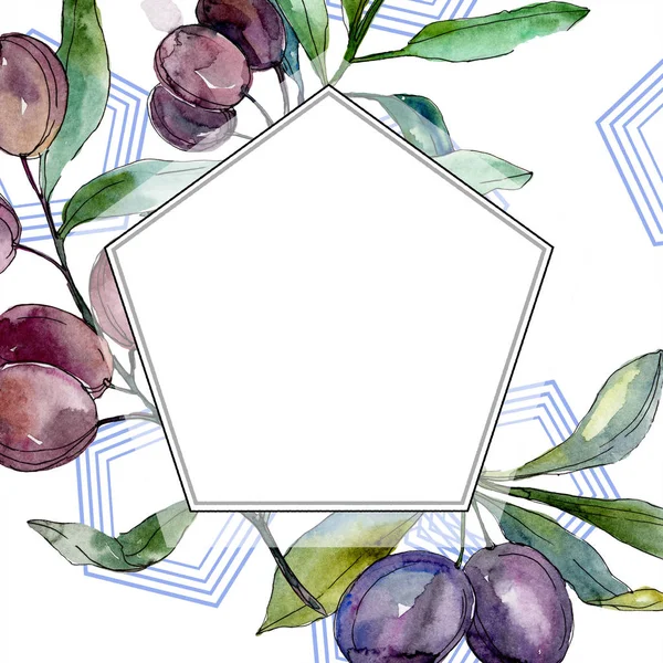 Olives noires sur les branches aux feuilles vertes. Jardin botanique feuillage floral. Illustration aquarelle sur fond blanc. Frontière polygonale . — Photo de stock