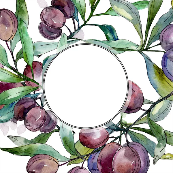 Olives on branches with green leaves. Botanical garden floral foliage. Watercolor illustration on white background. Round frame. — Stock Photo