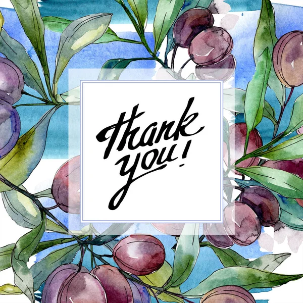 Black olives on branches with green leaves. Botanical garden floral foliage. Watercolor illustration on white background. Square frame. Thank you inscription — Stock Photo