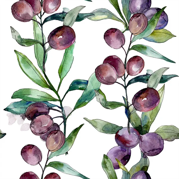 Olive nere su rami con foglie verdi. Orto botanico fogliame floreale. Illustrazione acquerello sfondo. Acquerello disegno moda acquerello isolato su bianco . — Foto stock