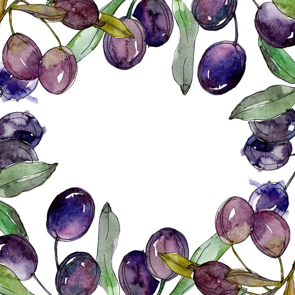 Olive su rami con foglie verdi. Orto botanico fogliame floreale. Illustrazione ad acquerello su sfondo bianco. Telaio rotondo . — Foto stock