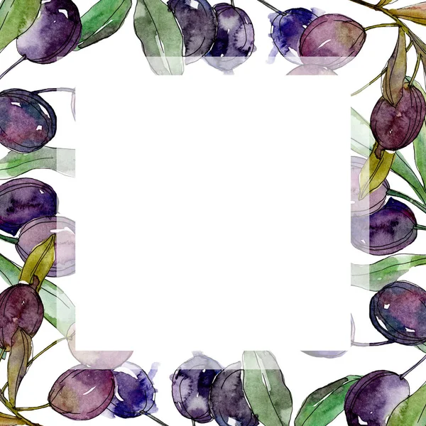 Black olives on branches with green leaves. Botanical garden floral foliage. Watercolor illustration on white background. Square frame. — Stock Photo