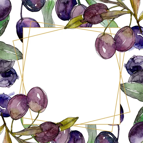 Olive su rami con foglie verdi. Orto botanico fogliame floreale. Illustrazione ad acquerello su sfondo bianco. Cornice cristallo dorato . — Foto stock