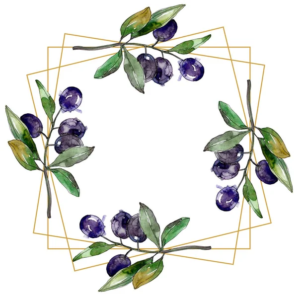 Olives on branches with green leaves. Botanical garden floral foliage. Watercolor illustration on white background. Frame golden crystal. — Stock Photo