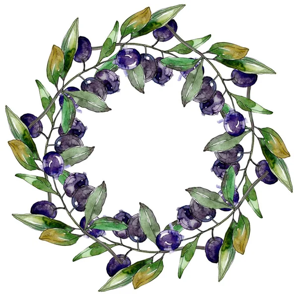 Olive su rami con foglie verdi. Orto botanico fogliame floreale. Illustrazione ad acquerello su sfondo bianco. Telaio rotondo . — Foto stock