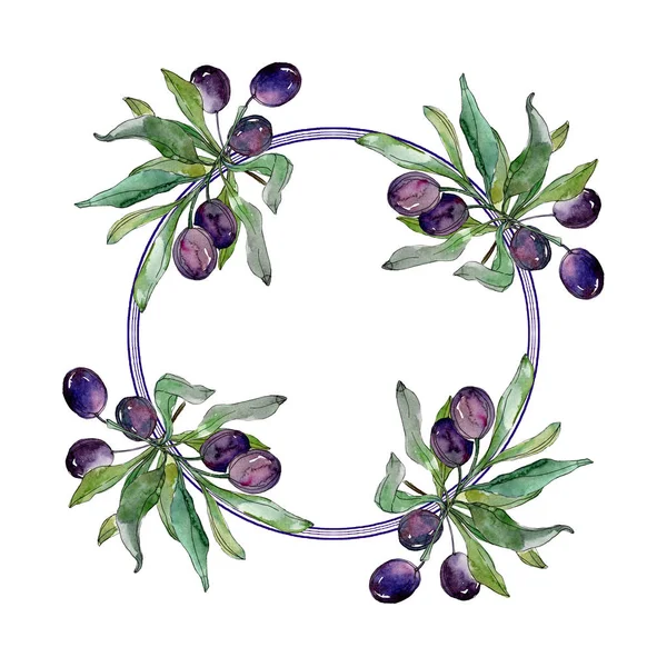 Olives on branches with green leaves. Botanical garden floral foliage. Watercolor illustration on white background. Round frame. — Stock Photo