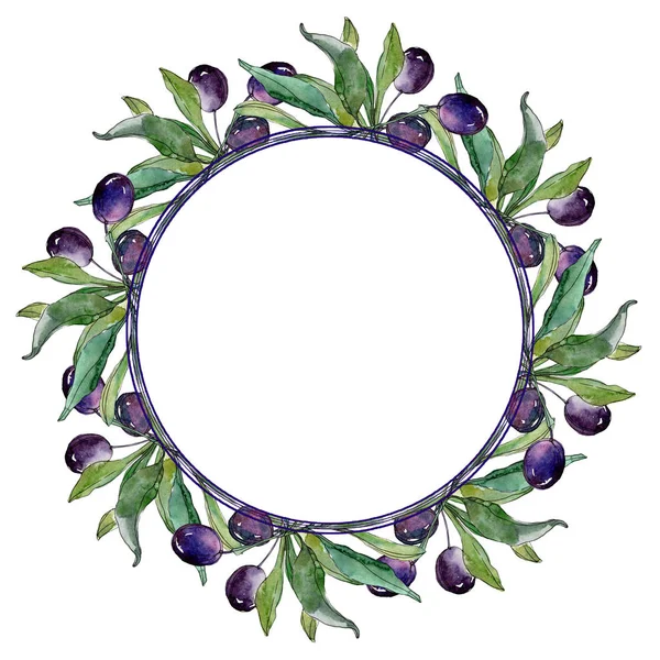 Olives on branches with green leaves. Botanical garden floral foliage. Watercolor illustration on white background. Round frame. — Stock Photo