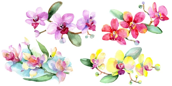 Beautiful orchid flowers with green leaves isolated on white. Watercolor background illustration. Watercolour drawing fashion aquarelle. Isolated orchids illustration element. — Stock Photo