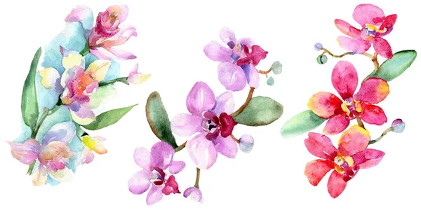 Bellissimi fiori di orchidea con foglie verdi isolate su bianco. Illustrazione acquerello sfondo. Acquerello disegno moda acquerello. Elemento di illustrazione isolata delle orchidee . — Foto stock