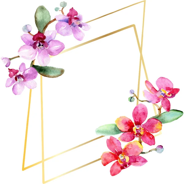 Belles fleurs d'orchidée avec des feuilles vertes isolées sur blanc. Illustration de fond aquarelle. Aquarelle dessin mode aquarelle. Cadre bordure ornement . — Photo de stock