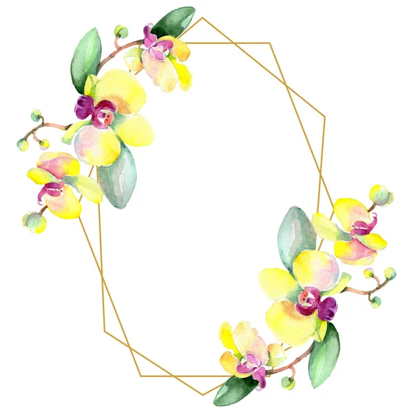 Schöne Orchideenblüten mit grünen Blättern isoliert auf weiß. Aquarell-Hintergrundillustration. Aquarell zeichnen Mode-Aquarell. Rahmen Bordüre Ornament. — Stockfoto