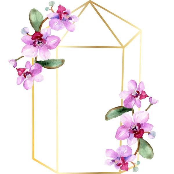 Flores bonitas do orchid com folhas verdes isoladas no branco. ilustração fundo aquarela. Aquarelle desenho aquarelle moda. Ornamento de borda quadro . — Fotografia de Stock