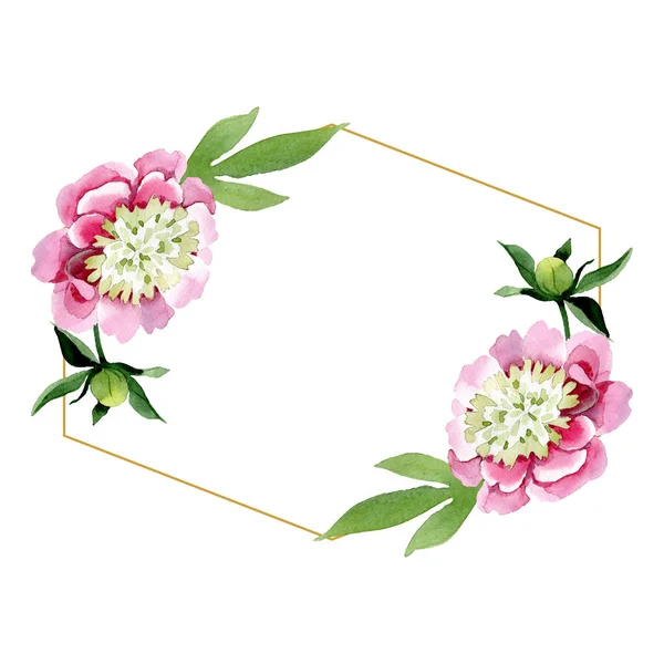 Beautiful pink peony flowers with green leaves isolated on white background. Watercolour drawing aquarelle. Frame border ornament. Diamond jewelry mineral. — Stock Photo