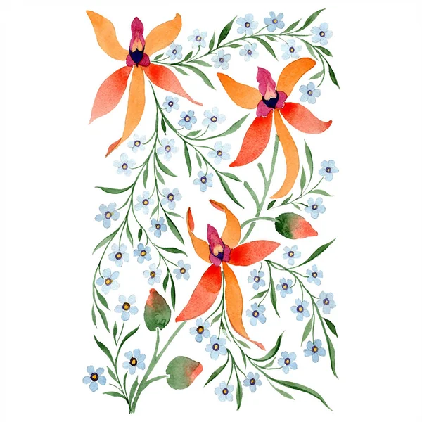 Blaue und orangefarbene Blumen. Aquarellzeichnung des Hintergrundes mit Orchideen und Vergissmeinnicht. — Stockfoto