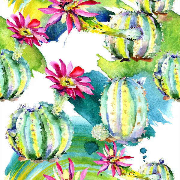 Grüne Kakteen mit rosa Blüten. Aquarell nahtloses Hintergrundmuster. — Stockfoto