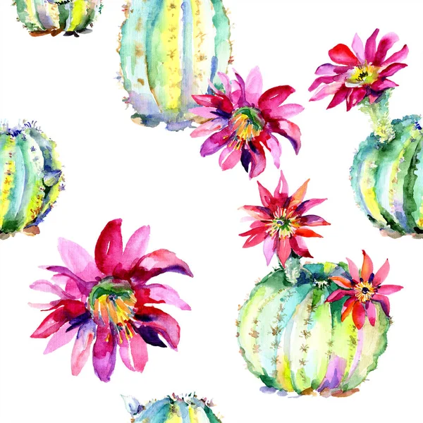 Green cacti with pink flowers. Watercolor seamless background pattern. — Stock Photo