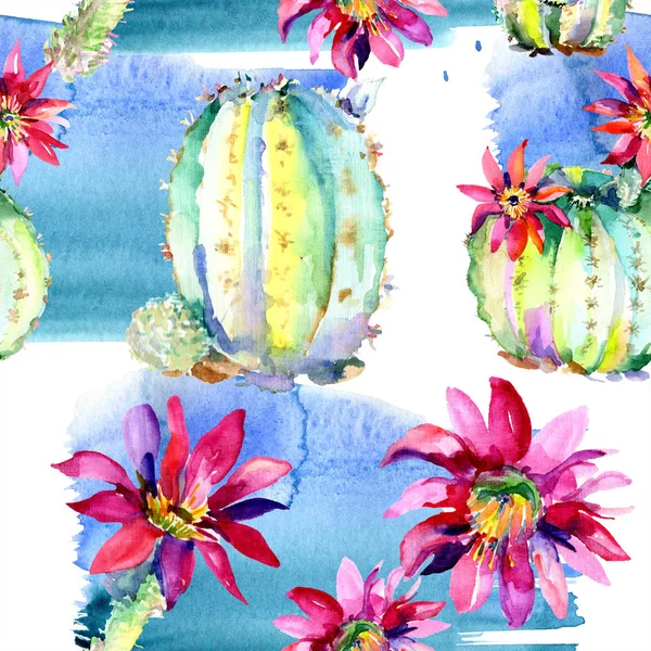 Cactus verdi con fiori rosa. Acquerello modello di sfondo senza soluzione di continuità . — Foto stock