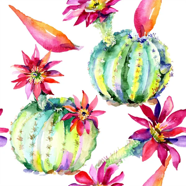 Green cacti with pink flowers. Watercolor seamless background pattern. — Stock Photo