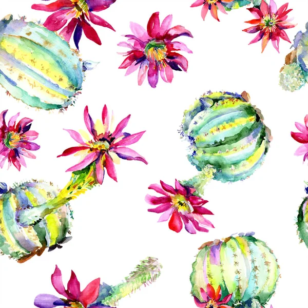 Cactus verts aux fleurs roses. Aquarelle motif de fond sans couture . — Photo de stock