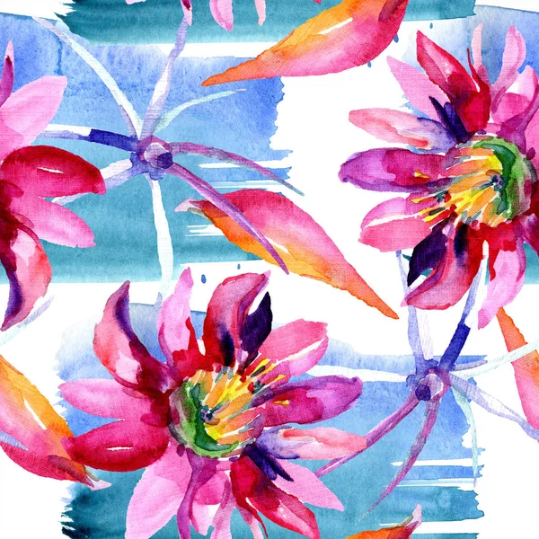 Flores rosa Cacti. Padrão de fundo sem costura aquarela . — Fotografia de Stock
