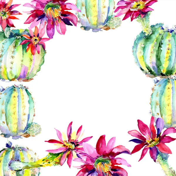 Cactus verdi con fiori acquerello set illustrazione con bordo cornice e spazio copia . — Foto stock