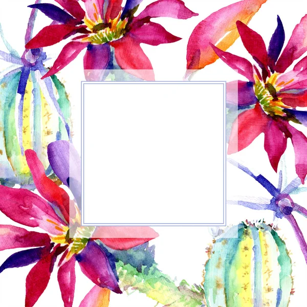 Cactus verts avec fleurs aquarelle jeu d'illustration avec bordure du cadre et espace de copie . — Photo de stock