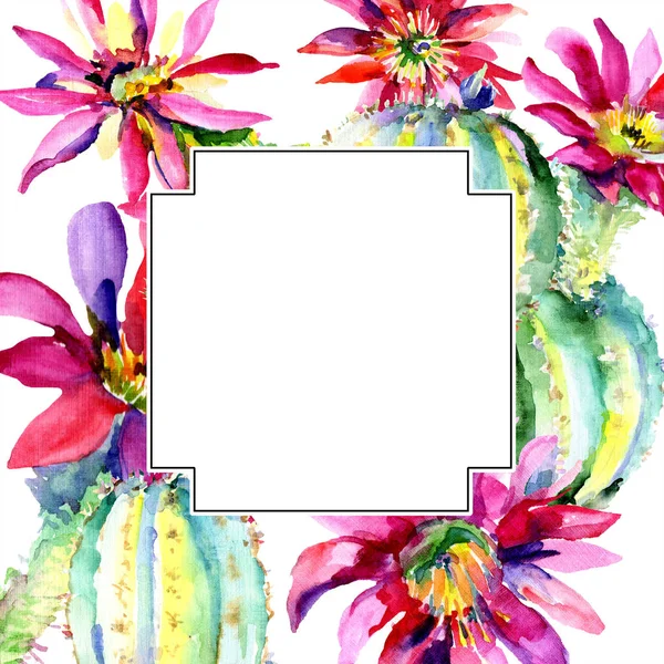 Green cacti with flowers watercolor illustration set with frame border and copy space. — Stock Photo