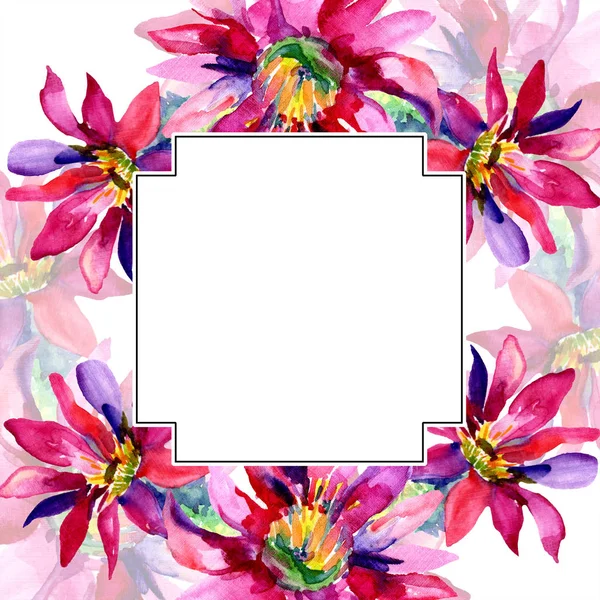 Pink cacti flowers watercolor illustration set with frame border and copy space. — Stock Photo