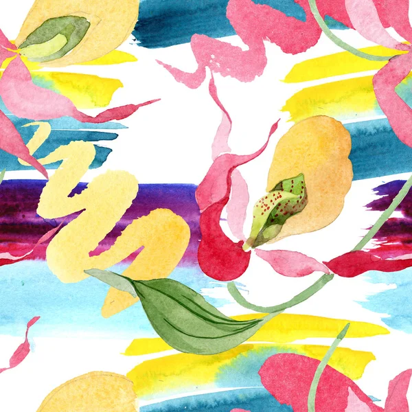 Señora zapatilla orquídeas con pinceladas acuarela ilustración sobre fondo blanco, patrón de fondo sin costuras - foto de stock