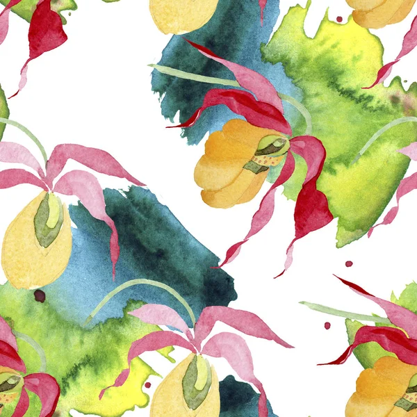 Señora zapatilla orquídeas con pinceladas acuarela ilustración sobre fondo blanco, patrón de fondo sin costuras - foto de stock