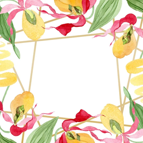 Frauenschuh Orchideen Aquarell Rahmen Illustration isoliert auf weiß mit Kopierraum — Stockfoto