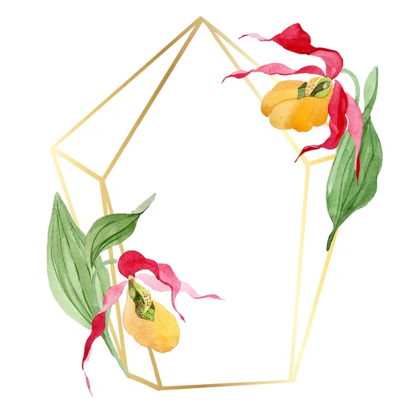 Dame pantoufle orchidées aquarelle cadre illustration isolé sur blanc avec espace de copie — Photo de stock