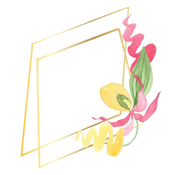 Леді ковзання орхідеї акварельна рамка ілюстрація ізольована на білому фоні з копіювальним простором — стокове фото