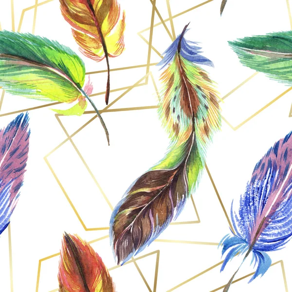 Colorful feathers with abstract lines isolated on white. Seamless background pattern. Fabric wallpaper print texture. — Stock Photo