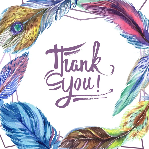 Colorful watercolor feathers isolated on white illustration. Frame border ornament with thank you lettering. — Stock Photo