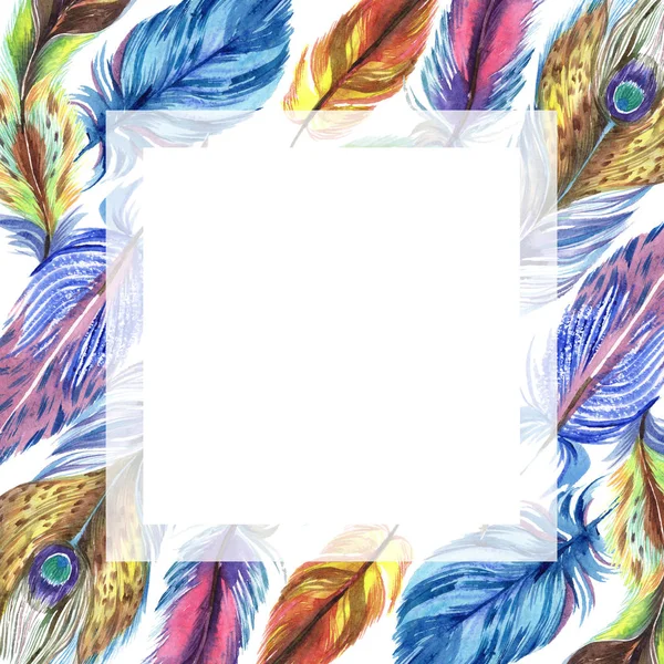 Colorful watercolor feathers isolated on white illustration. Frame border ornament with copy space. — Stock Photo