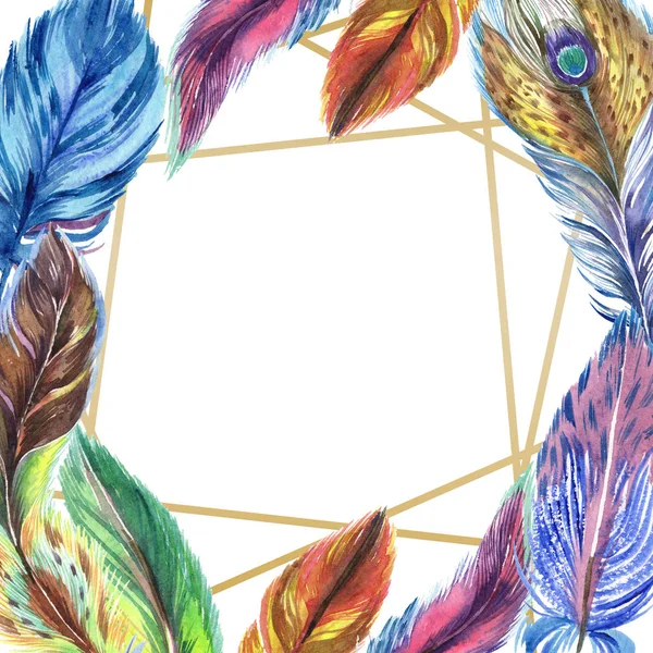 Красочные акварельные перья, выделенные на белой иллюстрации. Украшение рамки с копировальным пространством . — стоковое фото