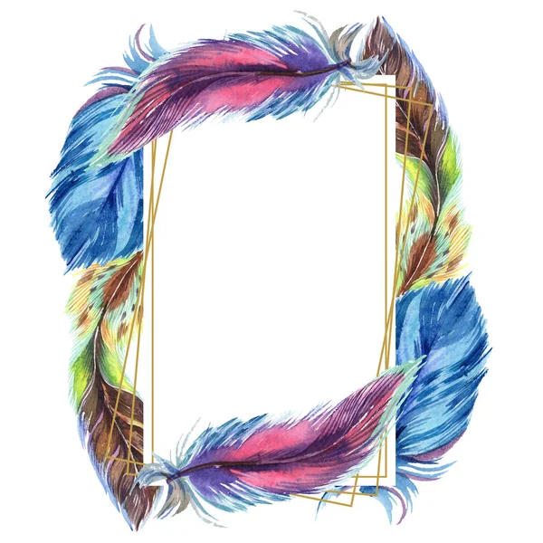 Plumas coloridas. Acuarela pluma de pájaro de ala aislada. Pluma de Aquarelle para fondo, textura, patrón de envoltura, marco o borde. Marco borde ornamento cuadrado . - foto de stock
