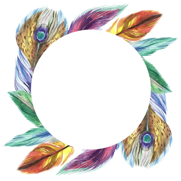 Des plumes colorées. Plume d'oiseau aquarelle de l'aile isolée. Plume Aquarelle pour fond, texture, motif enveloppant, cadre ou bordure. Bordure du cadre — Photo de stock