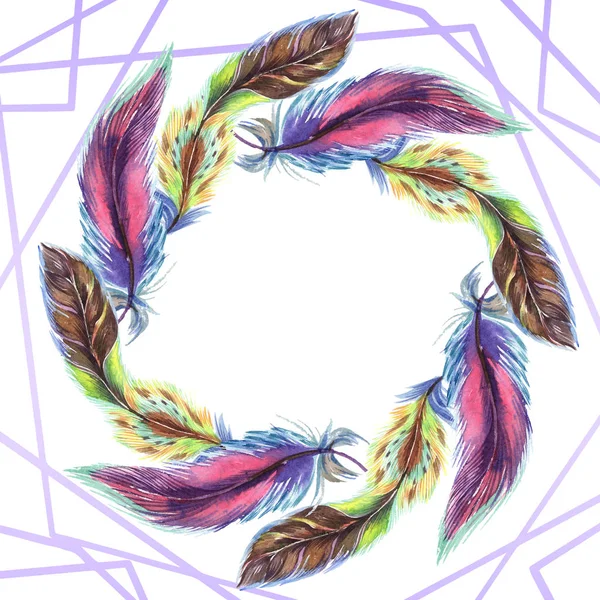 Plumas coloridas. Acuarela pluma de pájaro de ala aislada. Pluma de Aquarelle para fondo, textura, patrón de envoltura, marco o borde. Frontera del marco — Stock Photo