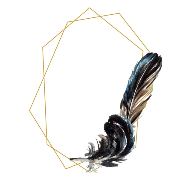 Черные перья акварельный рисунок. Граница рамки с копировальным пространством . — стоковое фото