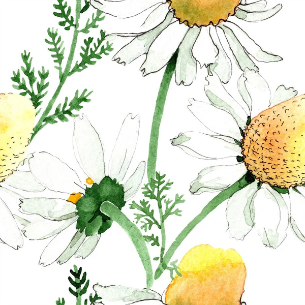 Primavera selvaggia Fiori di camomilla. Set illustrazione acquerello. Acquerello disegno moda acquerello. Modello di sfondo senza soluzione di continuità. Tessuto carta da parati stampa texture . — Foto stock