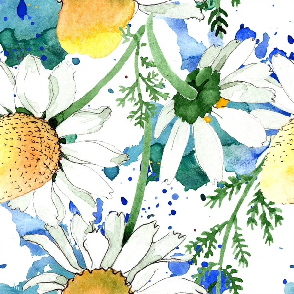 Wild spring Chamomile flowers. Watercolor illustration set. Watercolour drawing fashion aquarelle. Seamless background pattern. Fabric wallpaper print texture. — Stock Photo