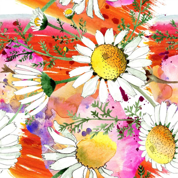 Primavera selvaggia Fiori di camomilla. Set illustrazione acquerello. Acquerello disegno moda acquerello. Modello di sfondo senza soluzione di continuità. Tessuto carta da parati stampa texture . — Foto stock