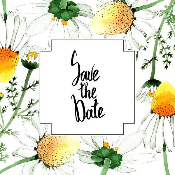 Wild spring Chamomile flowers. Watercolor background illustration set. Watercolour drawing fashion aquarelle isolated. Frame border with save the date sign — Stock Photo