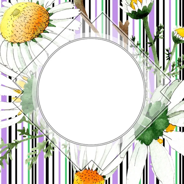 Primavera selvaggia Fiori di camomilla. Acquerello sfondo illustrazione set. Acquerello disegno moda acquerello isolato. Bordo quadro — Foto stock