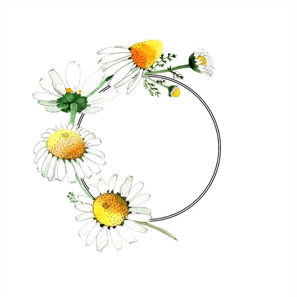 Primavera selvaggia Fiori di camomilla. Acquerello sfondo illustrazione set. Acquerello disegno moda acquerello isolato. Bordo quadro — Foto stock