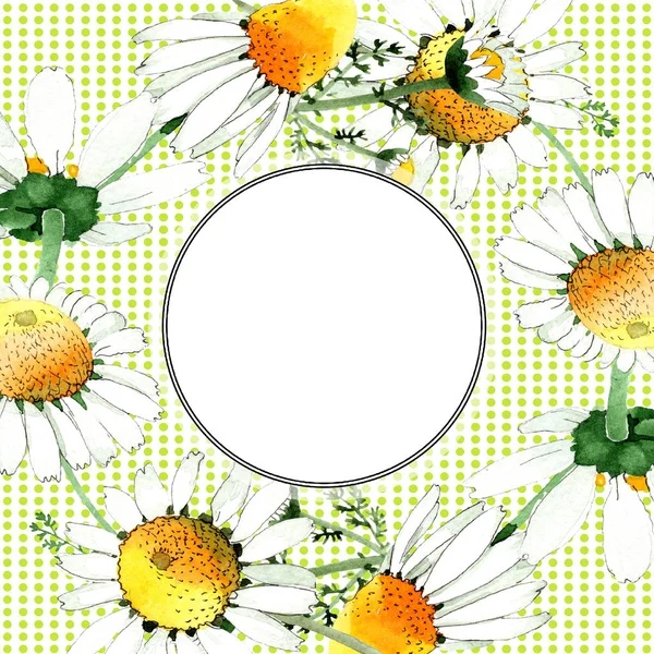 Wild spring Chamomile flowers. Watercolor background illustration set. Watercolour drawing fashion aquarelle isolated. Frame border — Stock Photo