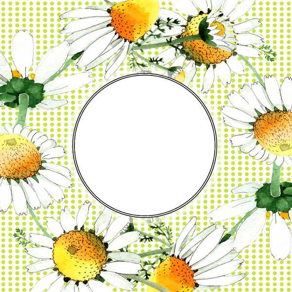 Fleurs sauvages de camomille de printemps. Ensemble d'illustration de fond aquarelle. Aquarelle dessin mode aquarelle isolé. Bordure du cadre — Photo de stock